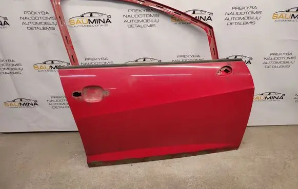 Seat Ibiza IV (6J,6P) Front door