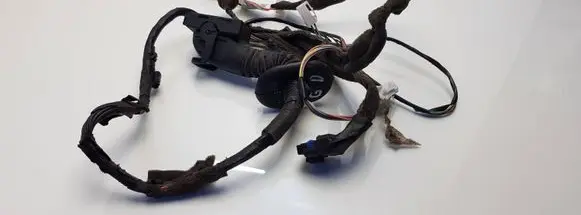 Renault Scenic II - Grand scenic II Rear door wiring loom 8200466049