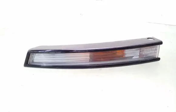 Volkswagen PASSAT B6 Front indicator light 3C0953041E