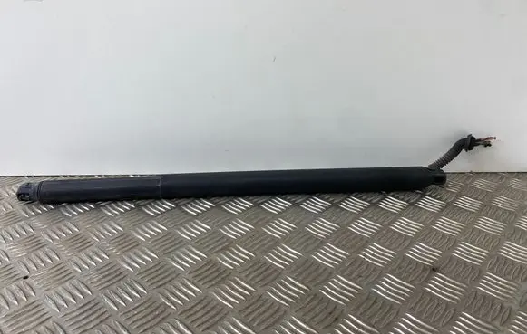 Tailgate/trunk strut/damper