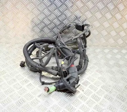 Porsche Panamera (970) Other wiring loom 97061029300