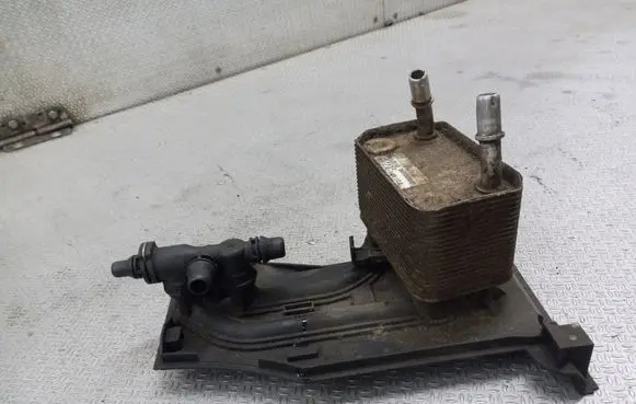 BMW X5 E53 Engine oil radiator 171014391120