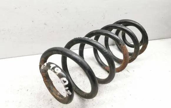 Volkswagen Golf V Rear coil spring