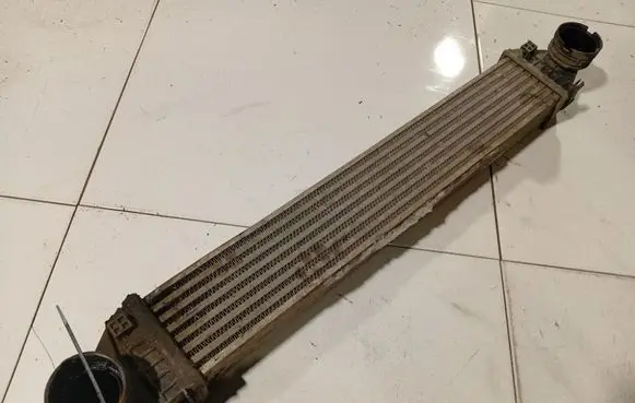 Mercedes-Benz A W169 Intercooler radiator A1695000000