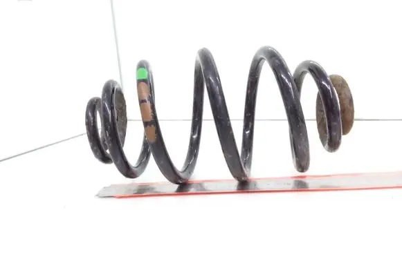 Volkswagen PASSAT B5 Rear coil spring
