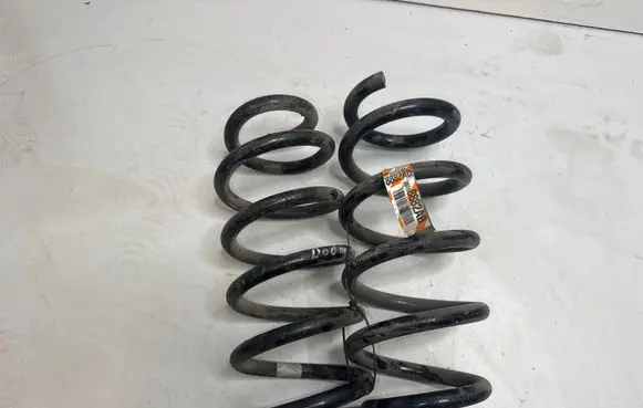 Dodge Charger Rear coil spring 25591F