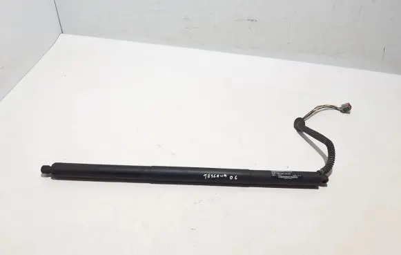 Tailgate strut