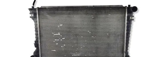 Ford Mustang V Coolant radiator 
