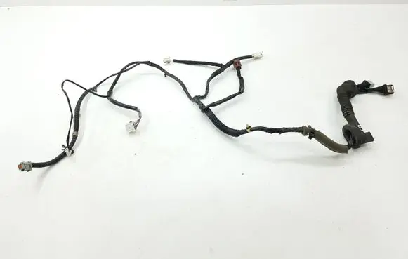 Front door wiring loom