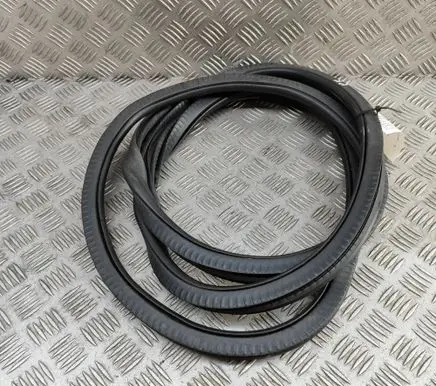 BMW 5 G30 G31 G38 Rubber seal front coupe door 7490027