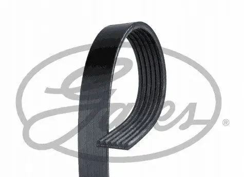 Jaguar S-Type Alternator belt 4W4E8620AA