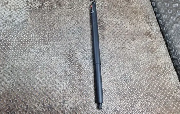 Tailgate/trunk strut/damper