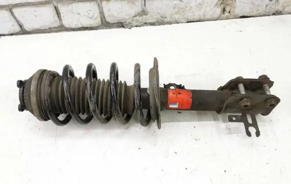 Opel Zafira B Front shock absorber with coil spring