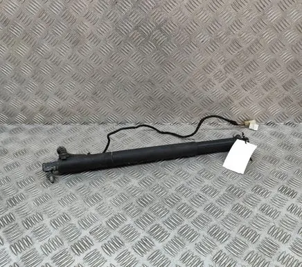 Tailgate/trunk strut/damper