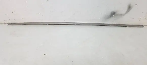 Front door trim (molding)
