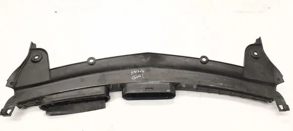 Mercedes-Benz E W213 Radiator trim A2138100815