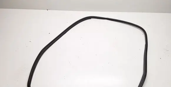 Toyota Prius (XW30) Front door rubber seal