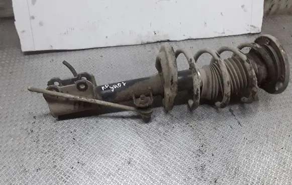 Opel Signum Front shock absorber with coil spring