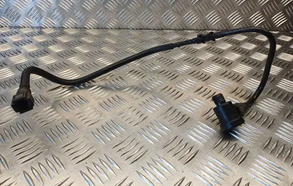 Citroen Berlingo Vacuum line/pipe/hose 