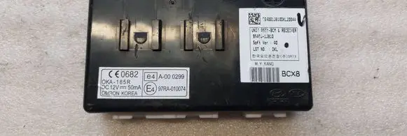 Hyundai i20 (PB PBT) Other control units/modules 954001J810
