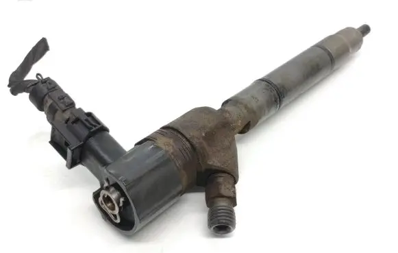 Hyundai i30 Fuel injector 0445110256 338002a400
