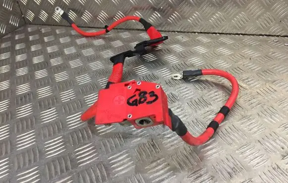 BMW 4 G22 G23 G24 G26 Positive cable (battery) 