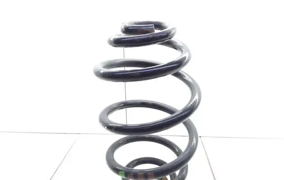 Volkswagen PASSAT B5.5 Rear coil spring