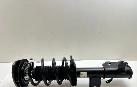 Front shock absorber with coil spring