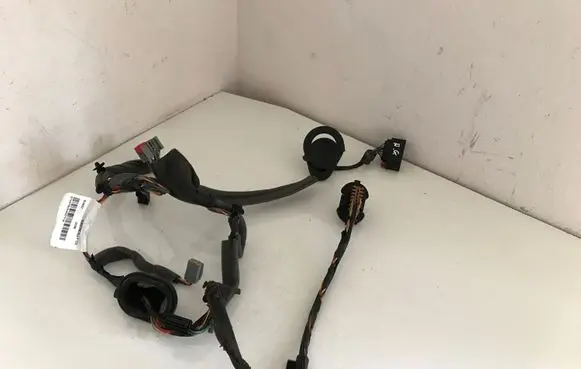 Rear door wiring loom