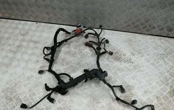 Citroen C3 Other wiring loom 9674664480