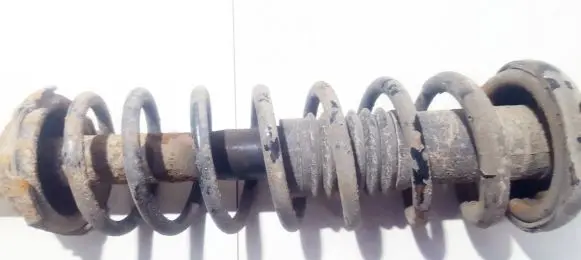 Honda Accord Rear coil spring