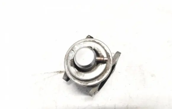 Volkswagen Golf Plus EGR valve 038131501af
