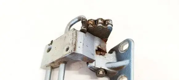 Volkswagen PASSAT B6 Rear door lower hinge