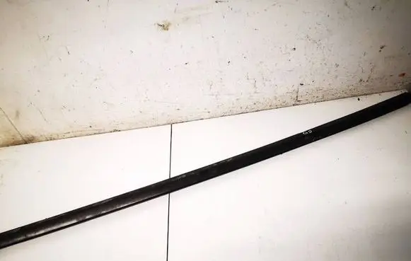 Tesla Model 3 Rear door glass trim molding 