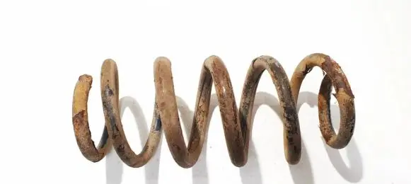 Toyota RAV 4 (XA30) Rear coil spring