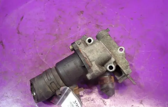 Renault Thalia I Thermostat/thermostat housing