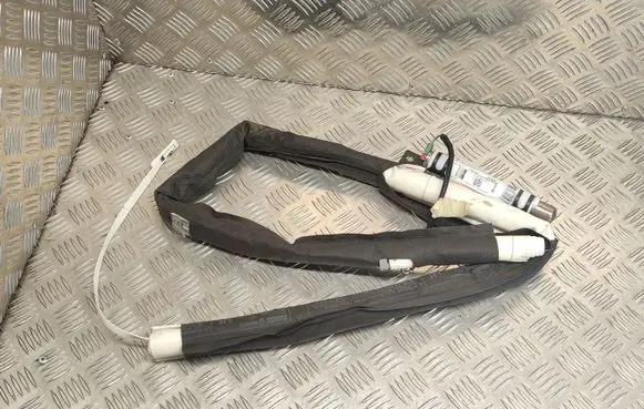 Renault Scenic III - Grand scenic III Roof airbag 985P10681R 24543300013