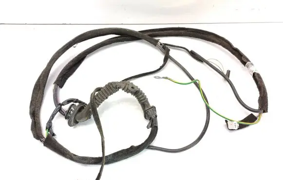 Rear door wiring loom