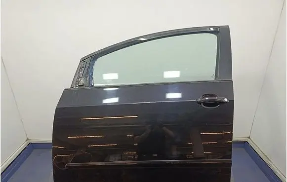 Volkswagen Golf Plus Front door