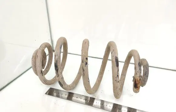 Volkswagen PASSAT B5 Rear coil spring
