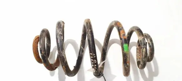 Volkswagen PASSAT B5 Rear coil spring