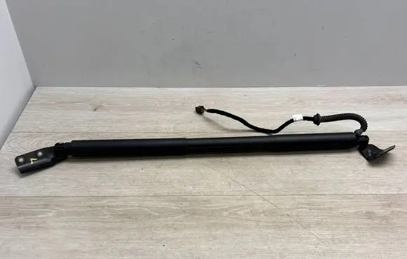 Tailgate/trunk strut/damper
