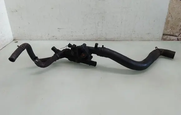 Thermostat/thermostat housing