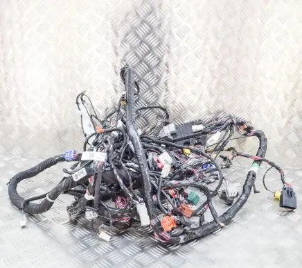 Tesla Model S Other wiring loom 302664300A