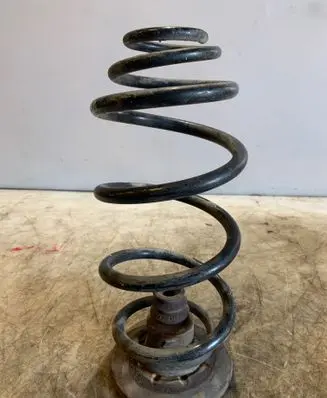 Rear coil spring