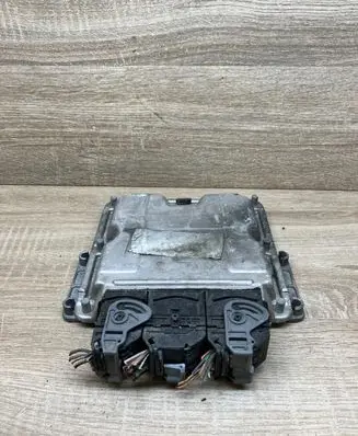 Renault Scenic I Engine control unit/module HOM8200039569 0281010819