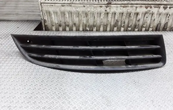 Volkswagen PASSAT B6 Front bumper lower grill 3C0853666
