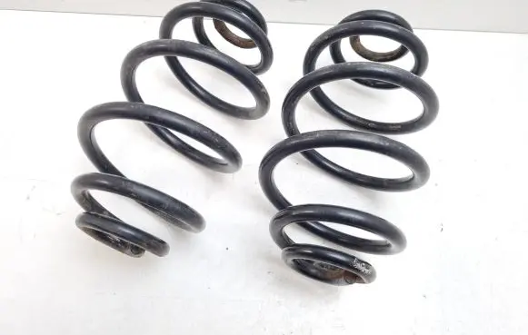Volkswagen PASSAT B5.5 Rear coil spring