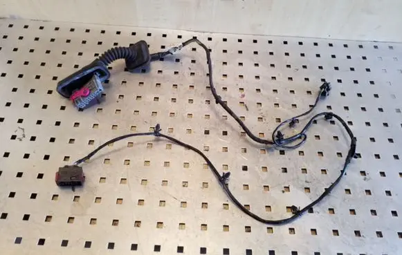 Rear door wiring loom