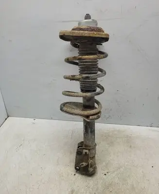 Citroen Jumpy Front shock absorber/damper